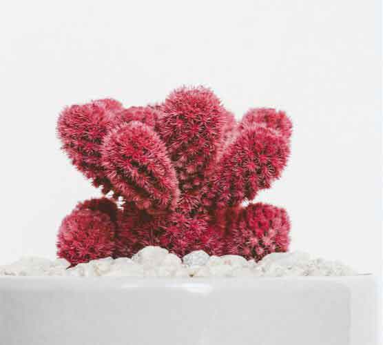 ddos压力测试平台